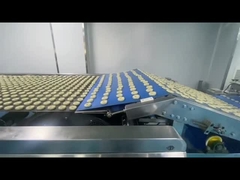 Steel Belt Kiln For food industrial